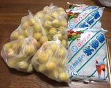 梅シロップ2016（4種）作り方6写真