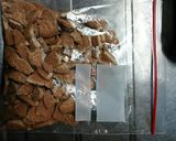 簡単☆生チョコバー作り方1写真