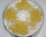 山椒ピリリ☆食品乾燥機☆乾燥めんで麻婆麺作り方3写真