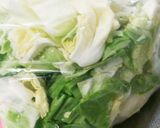 創味シャンタンde激ウマキャベツのお漬物作り方5写真