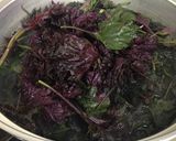 美しすぎる紫蘇ジュース作り方1写真
