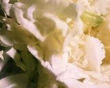 簡単！野菜炒め豚キャベツ☆常備菜おかず♪作り方6写真