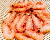 生小海老の茹で方作り方3写真