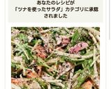レンジだけで簡単!水菜とツナのマヨサラダ作り方10写真