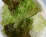 ガッツリ系！豚マヨサラダ丼作り方6写真