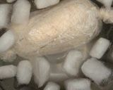 簡単でレンジで出来る鶏ささみハム作り方4写真