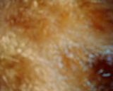 鶏肉のやわらか南蛮漬け♪作り方16写真