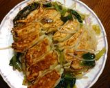 これがほんとの野菜餃子作り方4写真