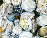 気分転換バターも♪あさりのお味噌汁作り方2写真