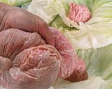 .+.圧力鍋で簡単ロールキャベツ.｡ﾟ+作り方6写真