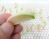 食品乾燥機で干しかまぼこの作り方作り方5写真