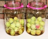 はちみつ梅酒作り方5写真