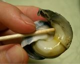 ながらみの塩茹で作り方5写真