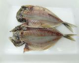 [干物の作り方]食品乾燥機で魚の乾燥作り方1写真
