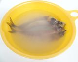 [干物の作り方]食品乾燥機で魚の乾燥作り方2写真