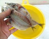 [干物の作り方]食品乾燥機で魚の乾燥作り方3写真