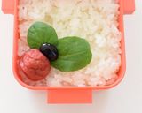 【キャラ弁】梅干しのてんとう虫作り方2写真
