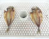 [干物の作り方]食品乾燥機で魚の乾燥作り方5写真