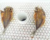 [干物の作り方]食品乾燥機で魚の乾燥作り方7写真