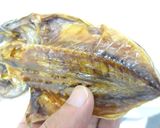 [干物の作り方]食品乾燥機で魚の乾燥作り方8写真