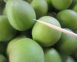 季節の定番　青梅で作る煮梅の蜜漬け作り方3写真