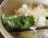 ご飯が進む!紫蘇のコチュジャン醤油漬け作り方4写真