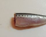 鰯の香草パルメザンチーズ焼き♪作り方1写真