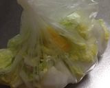 簡単＊白だしですぐ食べられる白菜の浅漬け作り方3写真