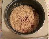 発芽酵素玄米作り方8写真