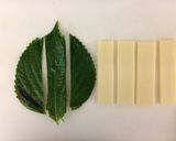 簡単おかず☆大葉とチーズの豚バラロール作り方1写真