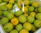 梅にんにく醤油作り方1写真