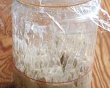 自家製酵母✿元種作り作り方11写真