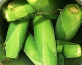 超簡単☆活力鍋で蒸しトウモロコシ作り方3写真