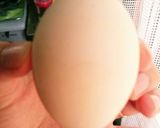 簡単☆産みたてでもツルッと向けるゆで卵作り方1写真