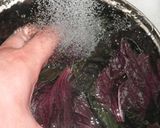 【赤紫蘇シロップ】夏にゴクゴク飲める♪作り方3写真