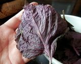 梅干し用の赤梅酢・おにぎり用の赤紫蘇漬け作り方6写真