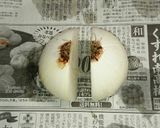 最高簡単!スライサーで玉ねぎのみじん切り作り方4写真