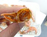 微粉砕機で海老パウダーの作り方作り方3写真
