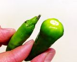 簡単おつまみ✨ししとうのペペロンチーノ作り方1写真