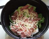 豚肉と白菜のミルフィーユ風シチュー♫作り方1写真