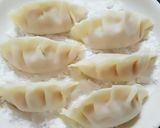 余った餃子を簡単綺麗に冷凍保存する方法♡作り方2写真