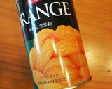材料ひとつ！超絶簡単！ミカンシャーベット作り方6写真
