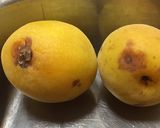 簡単☆ジップロックで漬ける梅干し作り方2写真