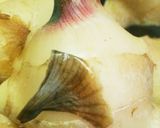 ♪野菜♪簡単紅生姜漬け作り方2写真