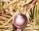 ♪野菜♪ズッキーニのコンソメ炒め作り方7写真