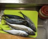 我が家の鯵寿司作り方1写真