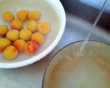 熟梅の甘露煮作り方6写真