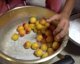 薄皮ぽたぽた梅干し作り方6写真