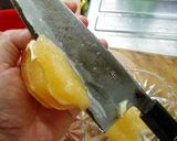 柑橘系果実はこれでバッチリ!作り方7写真