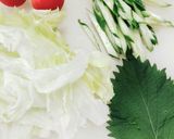 夏にサッパリサラダうどん作り方2写真